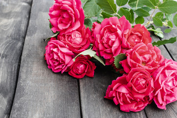 Roses on an old wooden board. Flower frame.