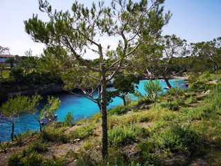 Cala Mitjana, Cala d Or, Mallorca