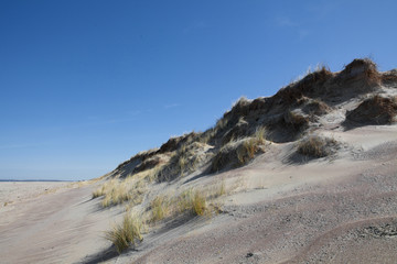 Fototapeta na wymiar Island of Vlieland. Waddenzee. Dunes and beach. Dutch coast