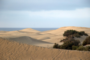 Düenen Maspalomas Gran Canaria