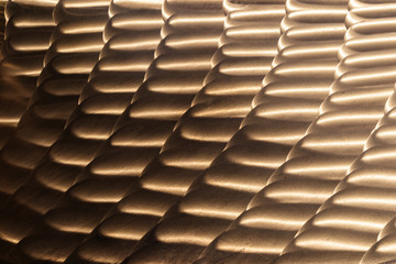 Goldfächer