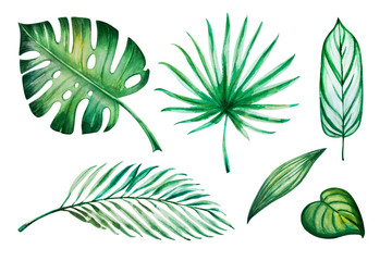 Beautiful tropical leaves set. Monstera, palm. Watercolor painting. Exotic plant. Natural print. Sketch drawing. Botanical composition. Greeting card. Painted background. Hand drawn illustration.