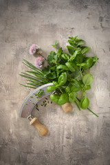 Fresh culinary herbs with a mezzaluna knife