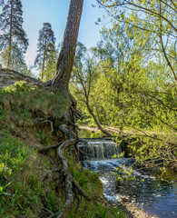 Waterfall on the river Sablinka in the village of Ulyanovsk, Leningrad region.