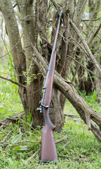 Old Rifle Resting Against a Forrest Tree