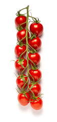 pomidory cherry gałązka na białym tle