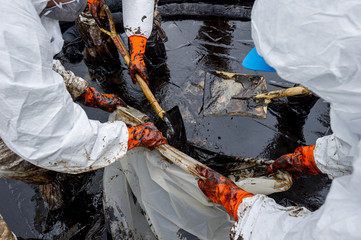 volunteers cleaning up a beach from a oil slick on Ao Phrao beach on Samed Island, rayong,...