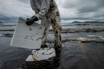 volunteers cleaning up a beach from a oil slick on Ao Phrao beach on Samed Island, rayong,...
