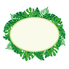 Fototapeta na wymiar Oval label with tropical leaves on a white background.