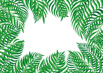 Fototapeta premium Frame of tropical leaves on a white background.