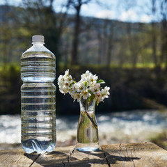 Plastic bottle with clean drinking water.