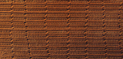 Plowed field for planting rye and barley. Aerial top view