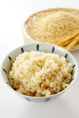 玄米ご飯