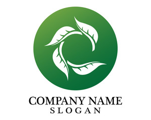 Fototapeta premium Logos of green leaf ecology nature element vector