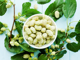 Mulberry on wood