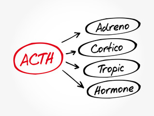 ACTH - Adrenocorticotropic hormone acronym, medical concept background