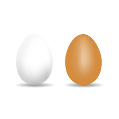 Realistic Chicken Egg - White And Brown Vector Template With Shadow - Isolated On White Background