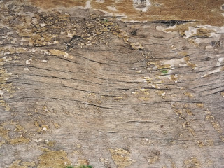 Old wooden floor for graphic design or wallpapers