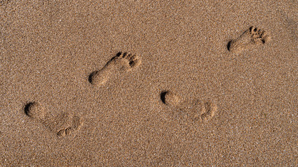 Fototapeta na wymiar Human footprints in the wet sand