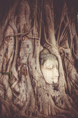Buddha Head in Tree Roots, Wat Mahathat, Ayutthaya, Thailand