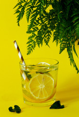 Lemonade with fresh lemon. Summer drink. Infused detox water in mason jar on yellow background. Detox water. Lemon Water with mint. Template for detox recipe. Detox fruit infused flavored water. 