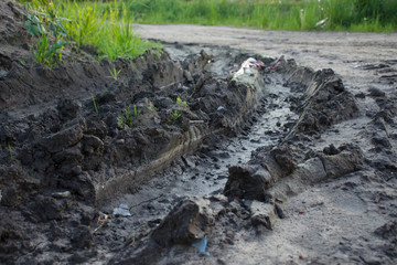 Close-up of a muddy ditch from a car wheel
