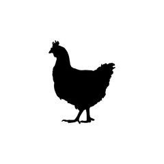 black silhouette of a chicken. vector illustration
