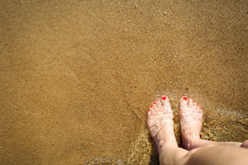 Summer time on beach and free space for your decoration 