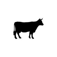 silhouette of a cow. vector illustration