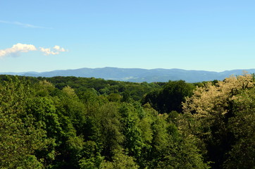 Schwarzwaldpanorama