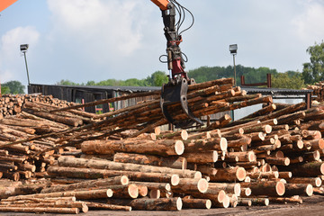 scierie bois industrie scier grappin