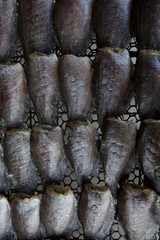 close up Snake Skin Gourami dried fish 'plasalid' lined on grate 