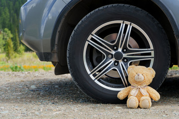 teddy bear and car