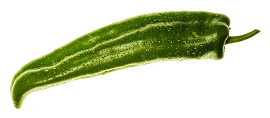 Very fresh green pepper (with drops of water). Isolated on white background.