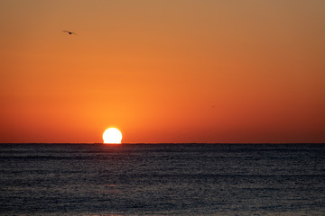 Sunset at ocean. Sky color orange.