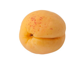 ripe sweet apricot isolated on white