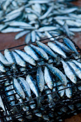 Sardinas asadas en las Fiestas de Santoña, Cantabria, Mar Cantábrico, España