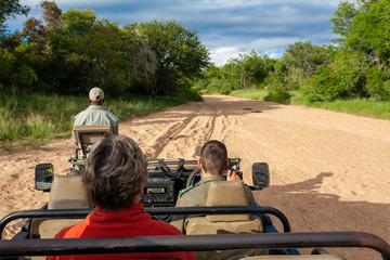 safari in Africa by jeep national park reserves and parks of south africa © francescodemarco