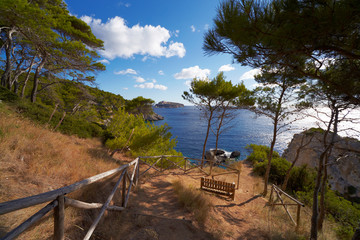 Path to the sea. San Domino Island. Tremiti, Puglia, Italy