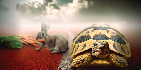 Turtle vs rabbit race © funstarts33