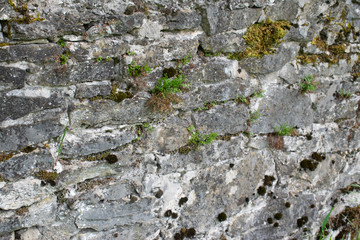 Natursteinmauer