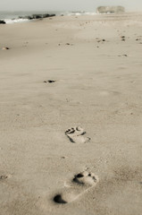 Nordic nature: Footprints in the sand by the North Sea in Denmark