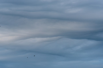 Cloudscape of Overcast Sky with Layers of Clouds in Blues and Grays