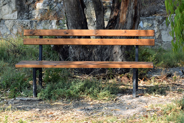 Empty bench in the park 