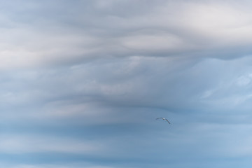 Cloudscape of Overcast Sky with Layers of Clouds in Blues and Grays