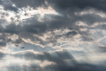 Dark Cloudscape with Rays of Light