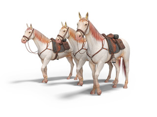 Three horses in bridle go 3d render on white background with shadow