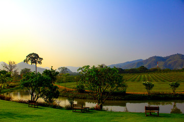 pb valley khao yai winery © Tossatis