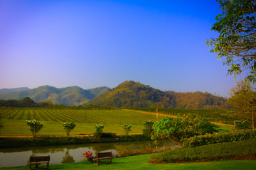 pb valley khao yai winery