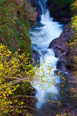 Bosque Atl&aacute;ntico en oto&ntilde;o en el Parque Natural Saja - Besaya, Cantabria, Espa&ntilde;a